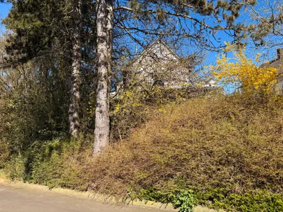 Seitenansicht