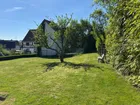 Wiese