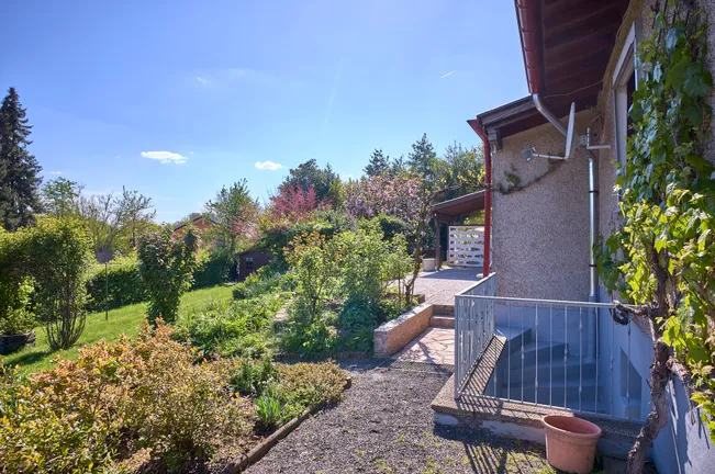 Terrasse mit Kellertreppe