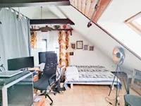 Studio DG