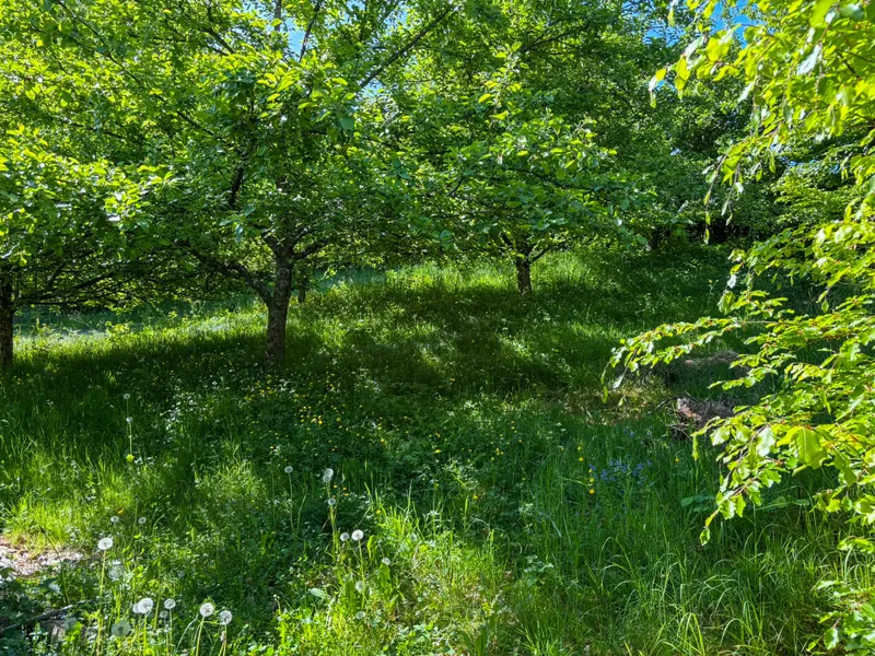 separates Gartengrundstück 