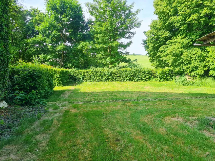Blick ins Grüne