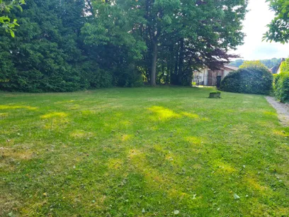 Blick ins Grüne