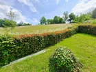 Blick vom Garten
