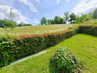 Blick vom Garten