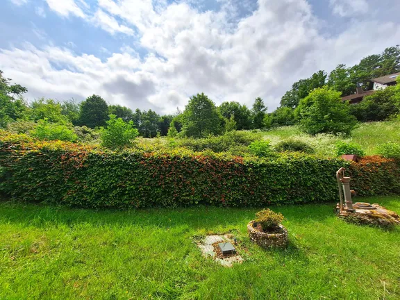 Blick vom Garten