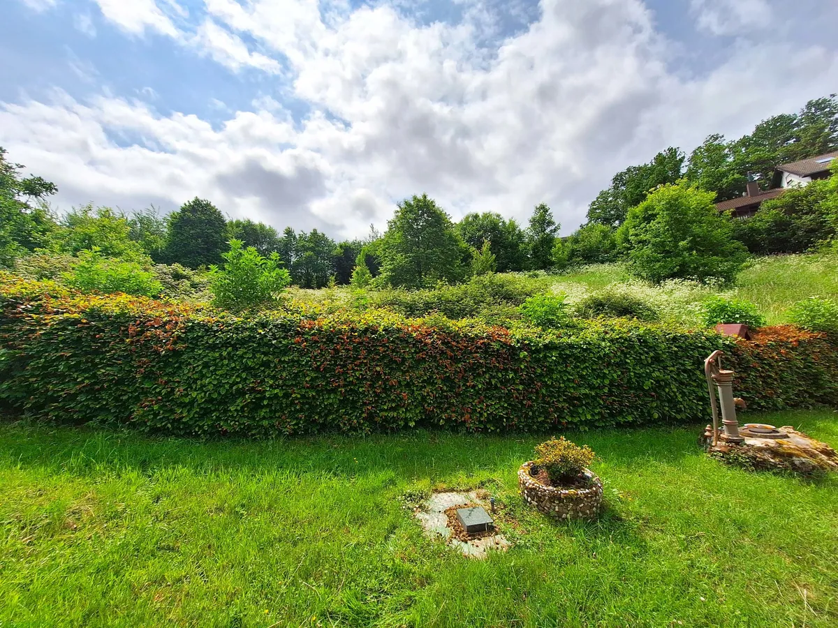 Blick vom Garten
