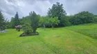 Wiesengrundstück