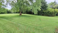 Grundstück