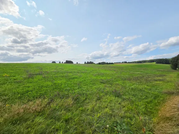 Ausblick in die Umgebung
