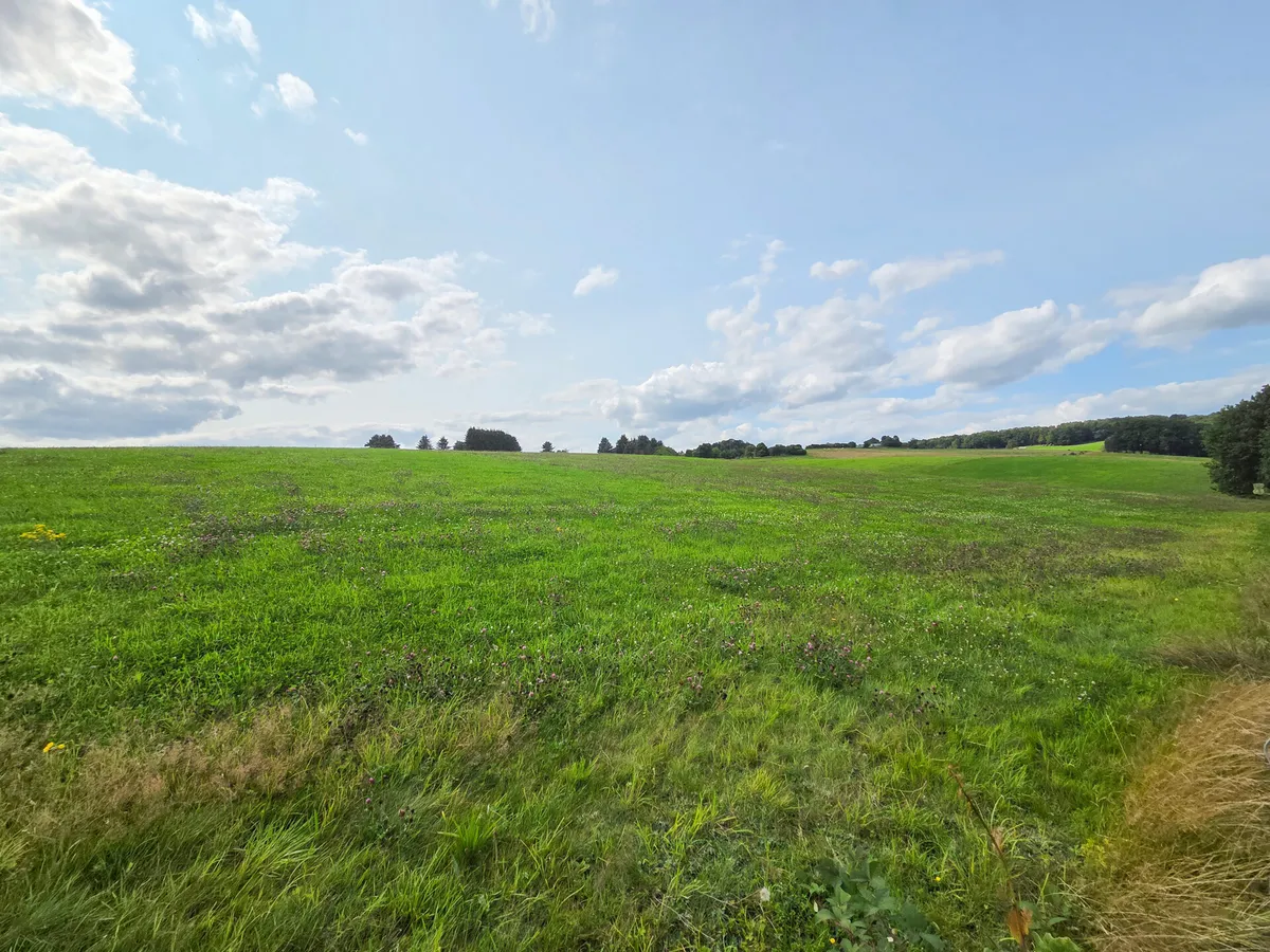 Ausblick in die Umgebung