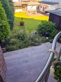 Blick in den Garten