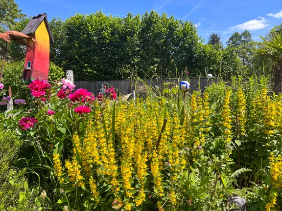 Garten
