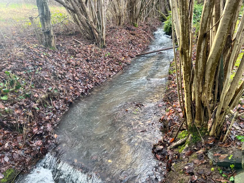 Bachlauf hinterm Haus