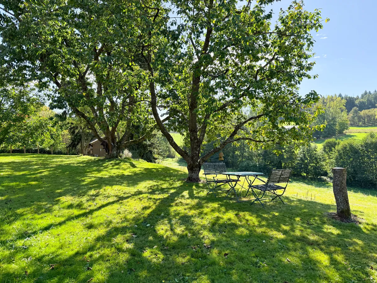 Blick vom Garten auf umliegende Wiesen