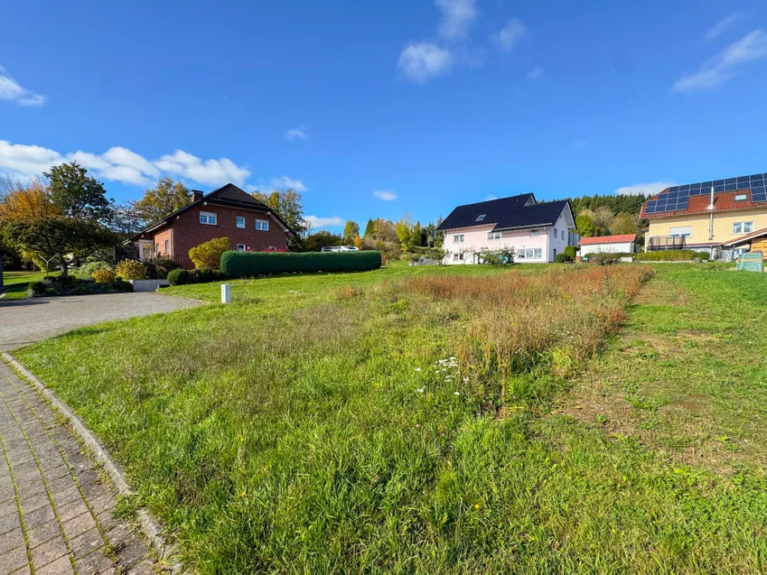 Rechte Anischt näher