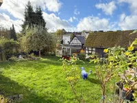 Gartenansicht mit Teich