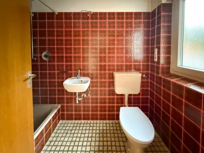 Tageslicht Gäste-Duschbad