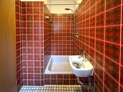 Tageslicht Gäste-Duschbad