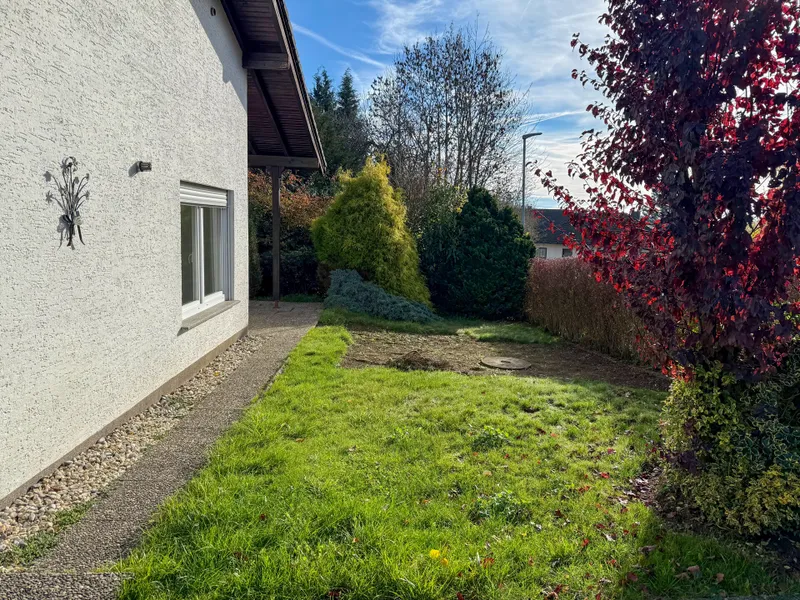 Vordere Gartenansicht