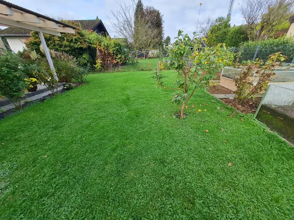 Blick in den Garten