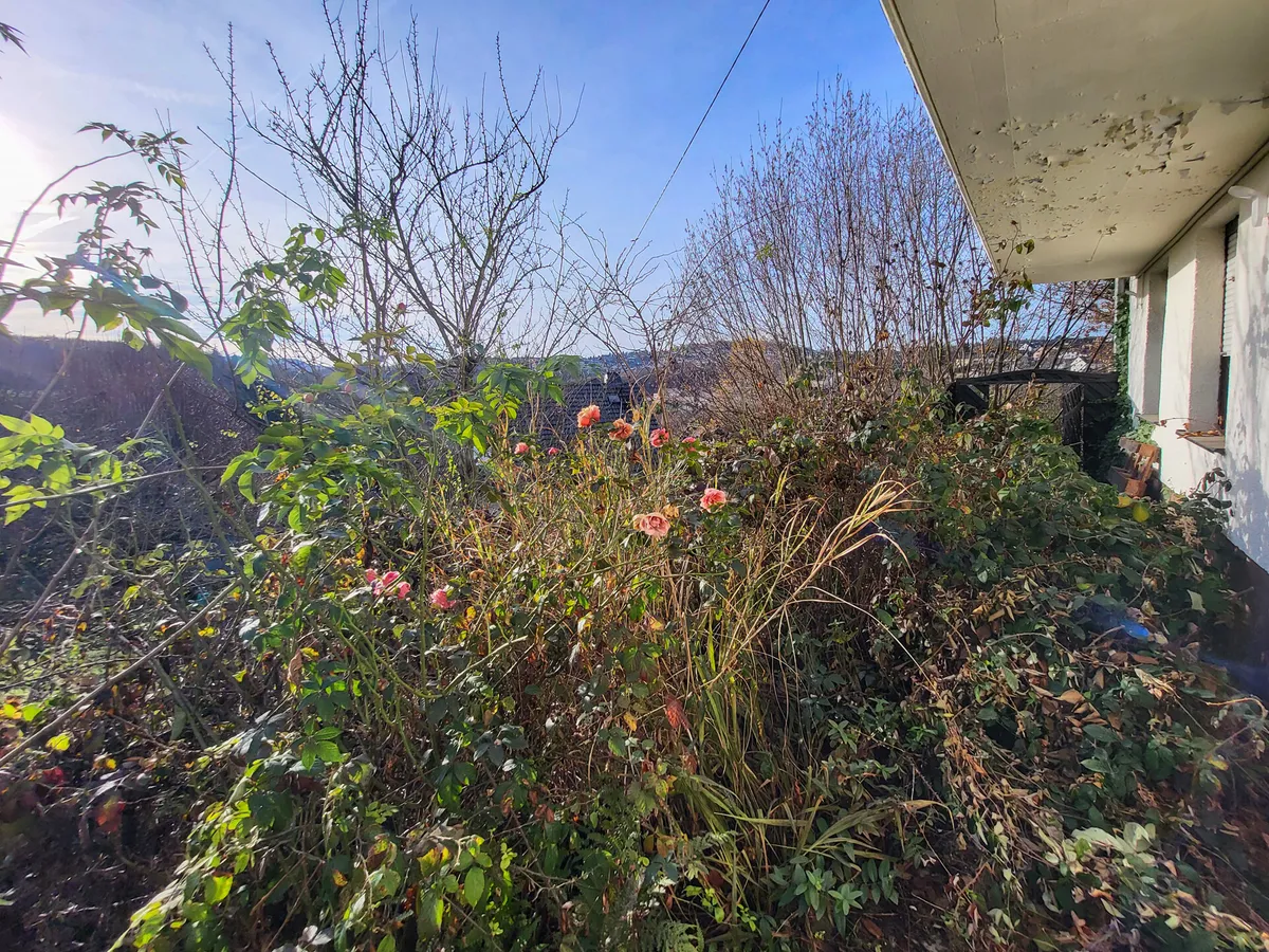 Blick vom Keller zum Garten