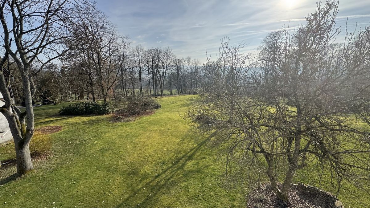 Blick aus dem Studio