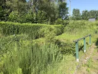 Teich