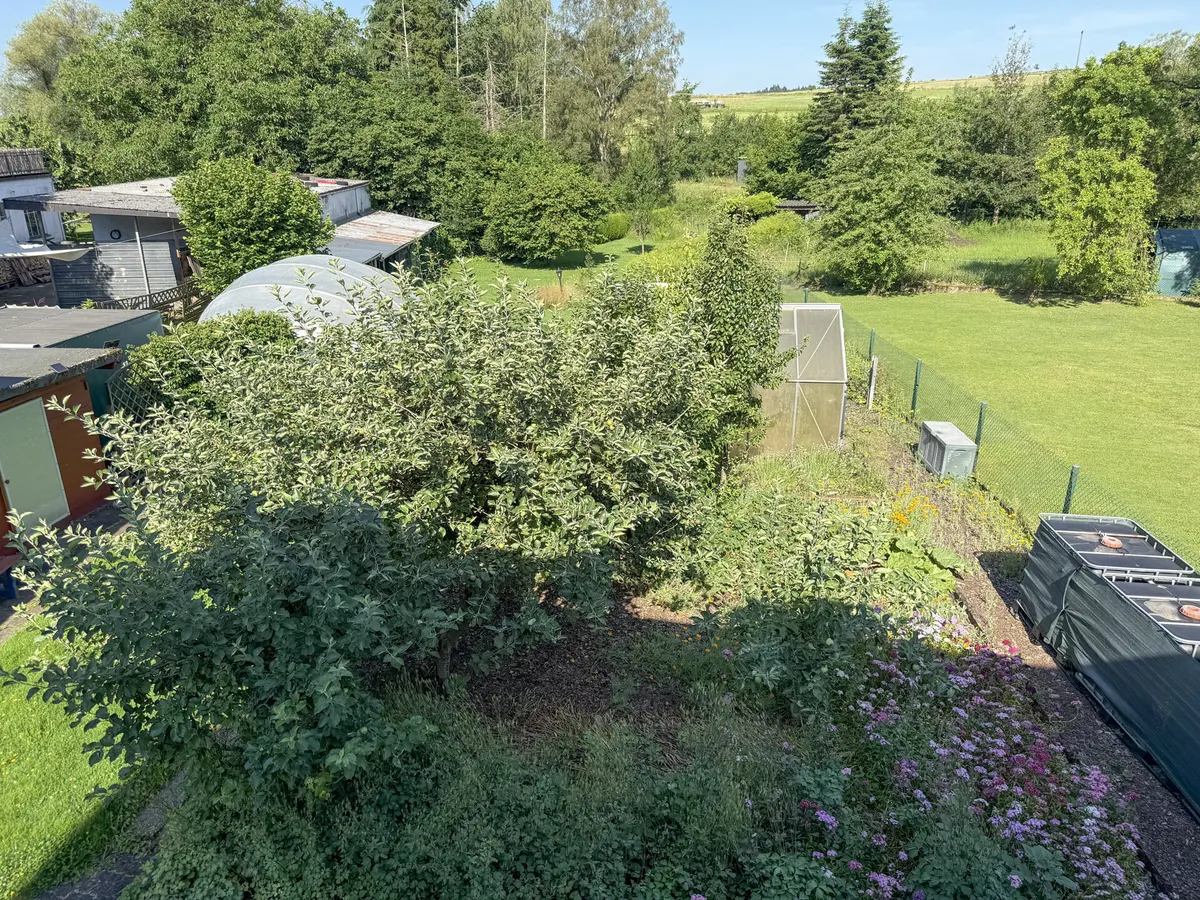 Blick aufs Grundstück