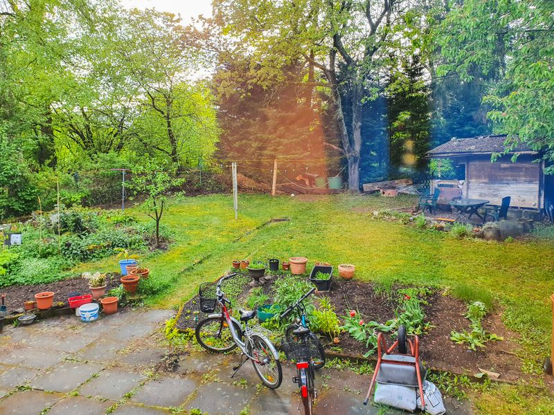Blick in den Garten