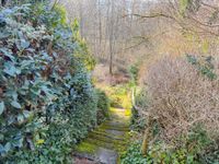 Abgang zum unteren Grundstücksbereich