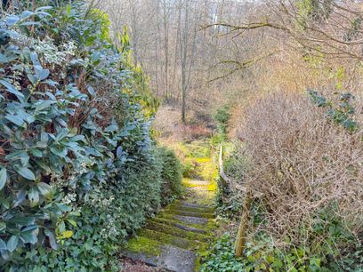 Abgang zum unteren Grundstücksbereich