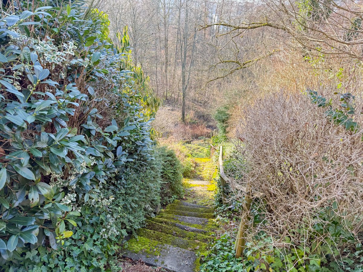 Abgang zum unteren Grundstücksbereich