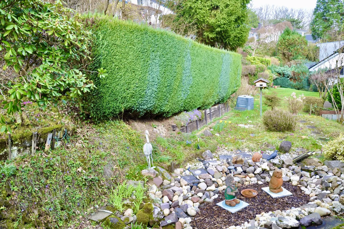 Garten mit Teich