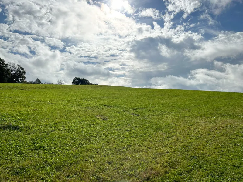 Mehrere Baugrundstücke, "noch zu vermessen" in idyllischer Lage von Morsbach!