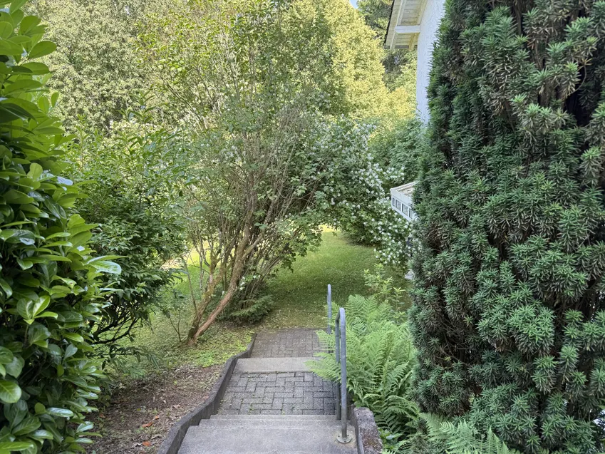 Zuwegung zum Eingang