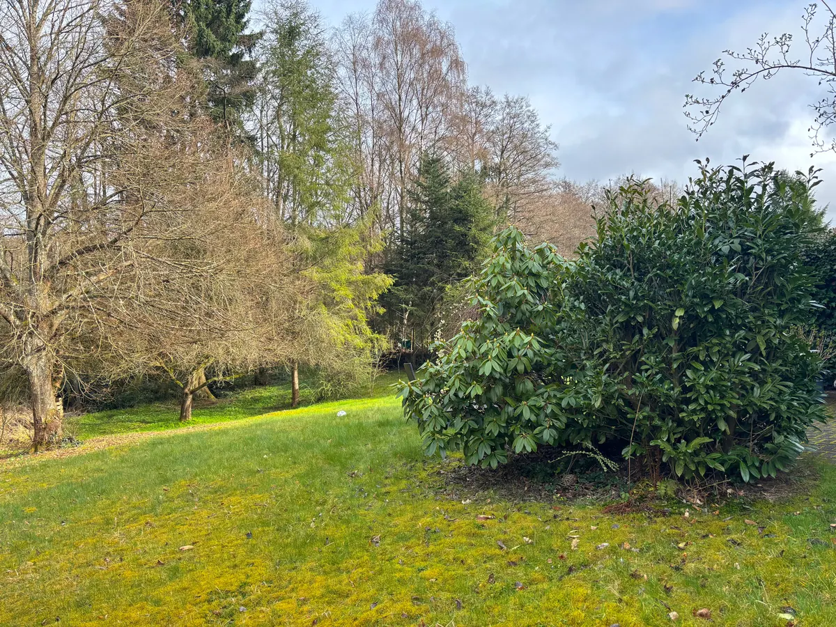 Grundstücksansicht