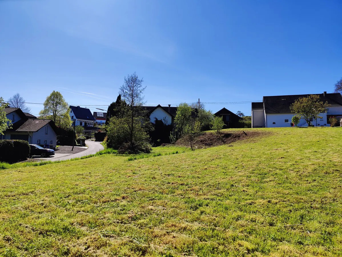 Grünfläche