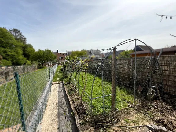 Garten 2