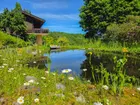 Teich