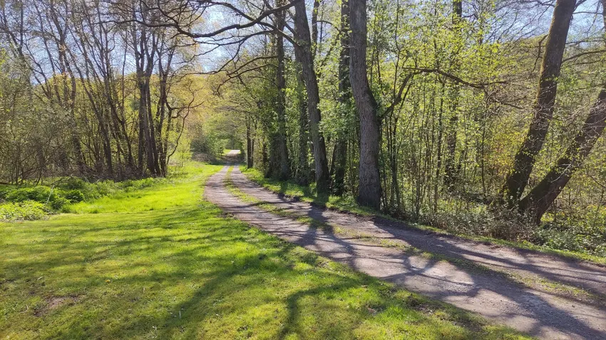 Zufartsallee