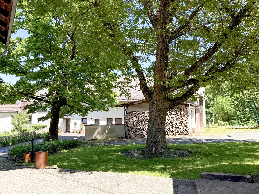 Grünfläche am Haus