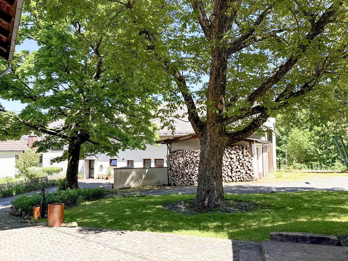 Grünfläche am Haus