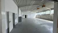 Halle (6)