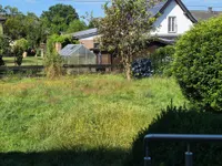 Blick in den Garten