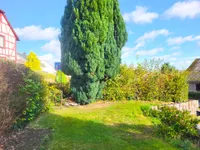 Garten vor dem Haus