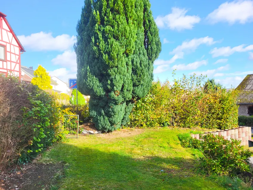 Garten vor dem Haus