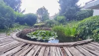 Wasserteich