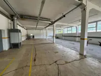 Halle 