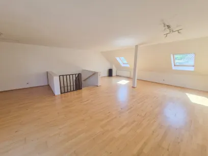 Studio (DG)